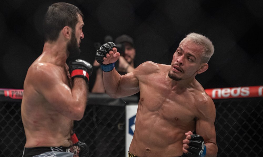 Estreia O P Direito Elves Brenner Vence Parceiro De Khabib No Ufc