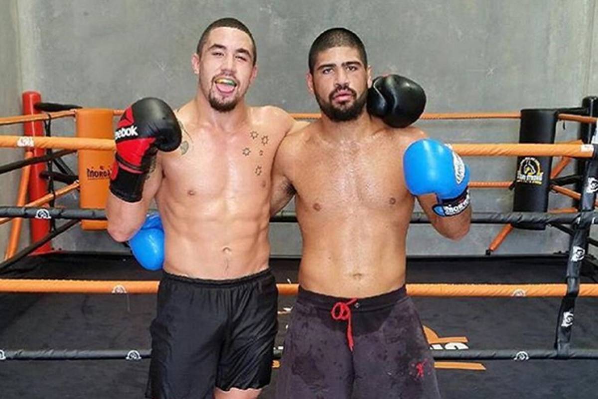 Exclusivo! Sparring de Robert Whittaker estreia no UFC no card liderado por Khabib