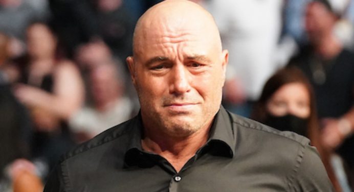 Joe Rogan relembra vitória de amigo sobre Royler Gracie: “Melhor dia da minha vida”