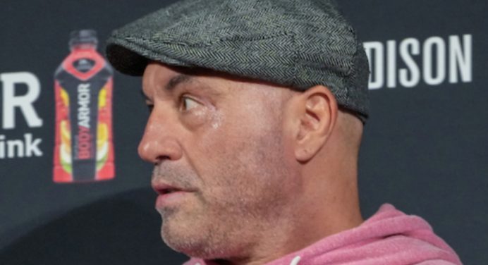Joe Rogan elogia Jake Paul e repreende quem desdenha do youtuber no boxe
