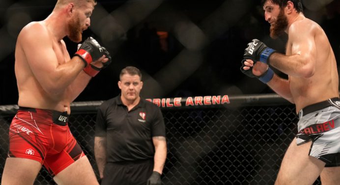 Dana White critica atuação de Blachowicz e Ankalaev no UFC 282: “Terrível”