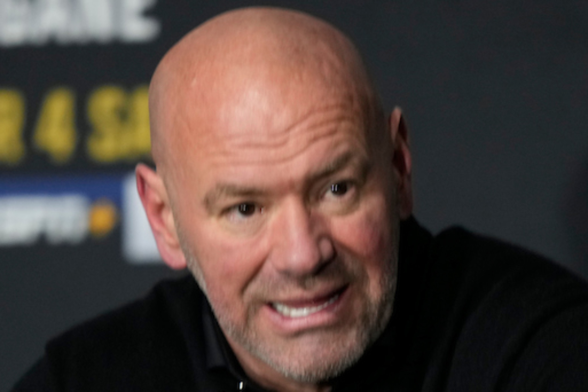 Dana White critica juiz lateral que deu vitória para Marlon vera no UFC