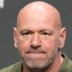 Dana White contesta repórter que perguntou sobre briga entre Jorge Masvidal e Kevin Holland nos bastidores do UFC 287.