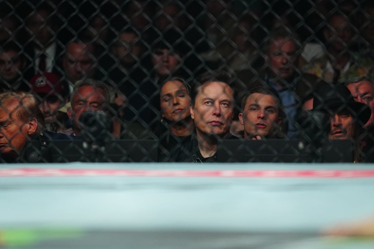 Donald Trump (à esquerda) e Elon Musk marcaram presença no UFC 309.