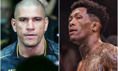 Poatan e Lok Dog trocam farpas virtuais