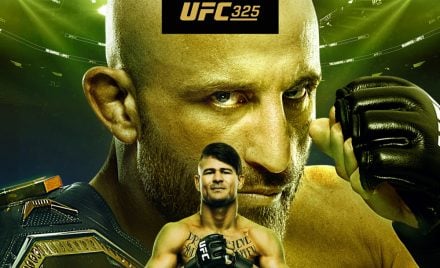 Pôster oficial do UFC 325